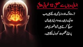 General knowledge in urdu 4