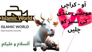 Cow mandi karachi visit