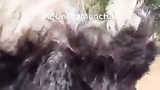 Nice dance 11