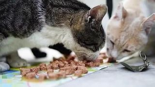Why is it so difficult to eat?