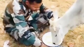 #armylover