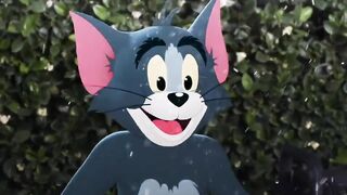 Tom and Jerry 39