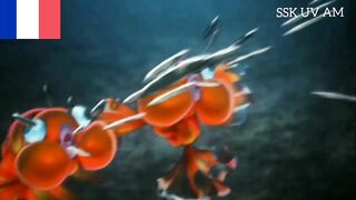 Démon slaver saison 3