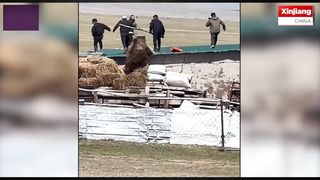 Heart-Pumping Footage of Chinese Police Officers Running to Save Themselves