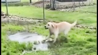 Happiness moment????????