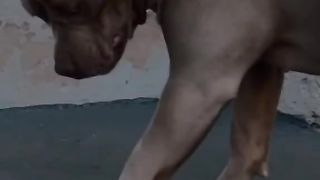 ТікТок 25