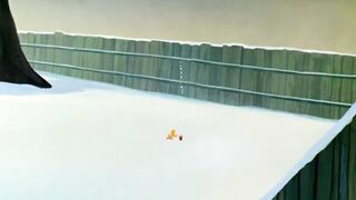 Tweetie Pie Best Funny Cartoon Video #cartoon #trendingvideo #funnyVideo