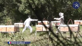 Funny videos 200