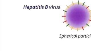 Hepatitis D overview