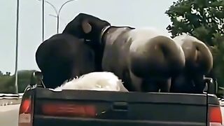ТікТок 29