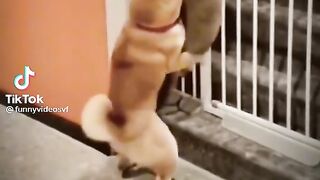 ТікТок 30