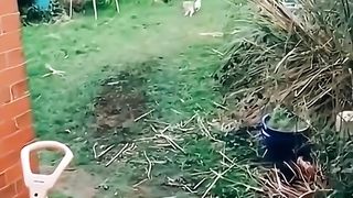 ТікТок 32