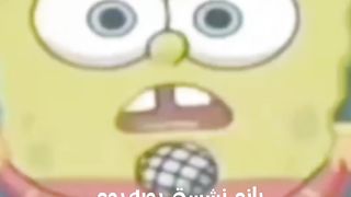 باب اسفنجی