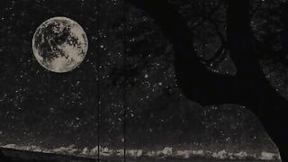Story love more videos