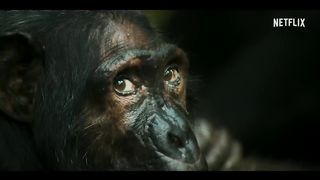 Chimp Empire movie trailer