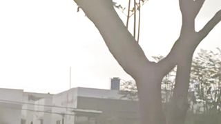 Park Activities