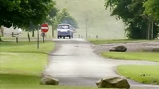 Mr bean exams results