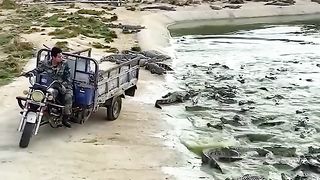 TRY NOT TO LAUGHING I Best Funny Videos Compilation 2023 # 279