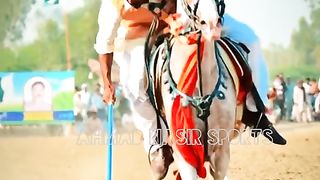 #top#three#best#horse#riders#of#world#ytshorts#you