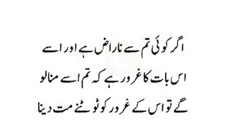 Best urdu Quotes 7