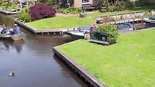 Natural view 6