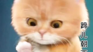 Cute Little Cat