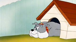 том и джерри 36