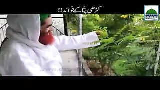 Karhi Patta Kay Fawaid