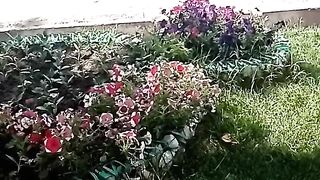 ЛЕТНИЙ ДЕНЬ