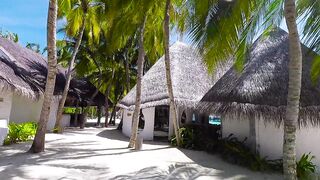 World’s famous beaches