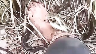 So funny moment dangerous snake bite