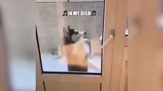 Try Not To Laugh - Surprising Fail Moments Caught On Camera | LIFE AWESOME 6