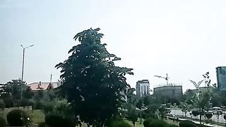 МЕЛЬНИЦА