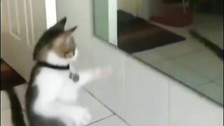 ТікТок 40