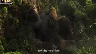 Kong ???? warmest