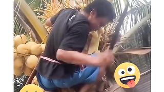 For viral