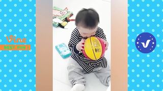 Funny compilation