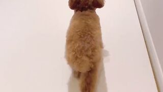 미소 목욕 직캠