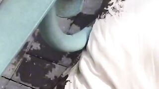 Cute pets