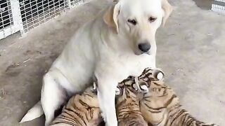 I'm not your mother ????