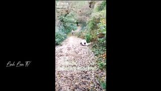 Funny Moments Of The Year Compilation ????????
