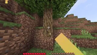 Minecraft but I randomly switch dimensions!