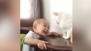 cats are evil.. hahaha