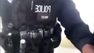 memes i found on tiktok