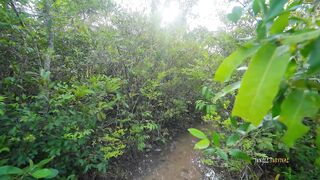 How to Build Onground Survival Home Shelter, Jungle Survival Bushcrafts Skills