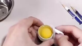 the process of turning an egg into a chicken