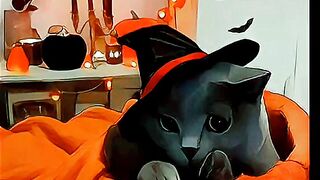 cat - cartoon - hard cuteness level