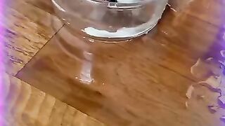 Funny Pet Video On The Internet????????