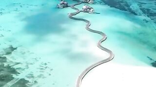 Nature short video #natural #shorts