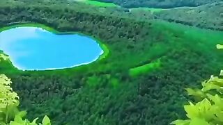 Nature short video #natural #shorts